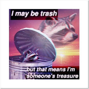 I May be Trash - Raccoon meme Posters and Art